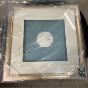 New Sand Dollar Framed Wall Decor